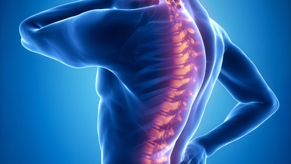 spine pain | Klamath Orthopedic Clinic and Sports Medicine